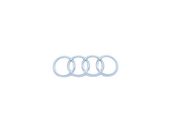 Original Audi Ringe Logo Firmenschild 16,5 cm Motorabdeckung Geräuschdämpfung