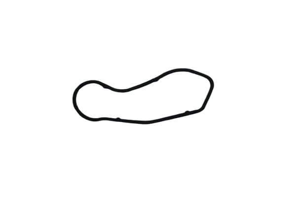 Original Audi A6 A8 Q7 VW Touareg Dichtung für Ölrohr 19x2,5