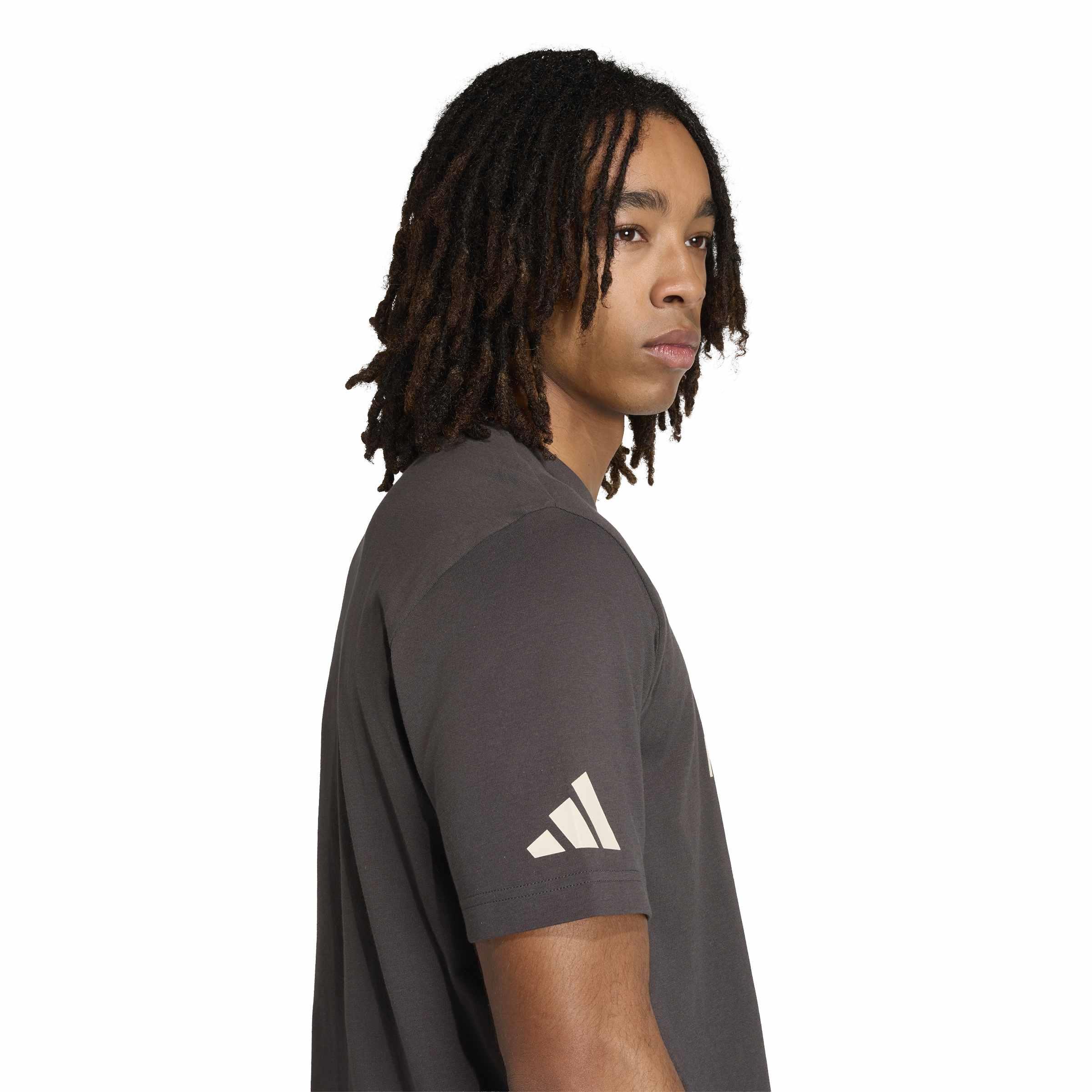 Original Audi Formel 1 Fan Graphic T-Shirt, Herren, schwarz-grau - 313260070-Konfig